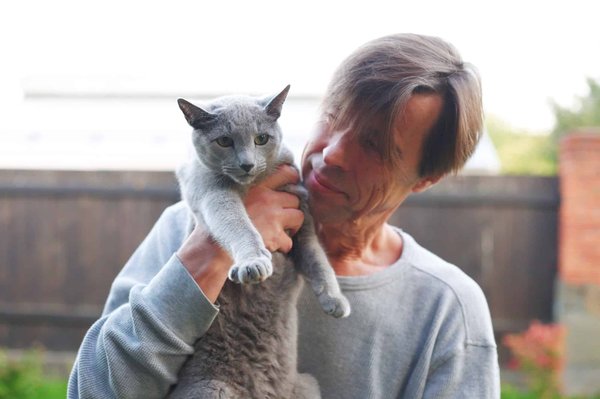 Aventure félines en plein air : sécurité et jeux pour chats heureux